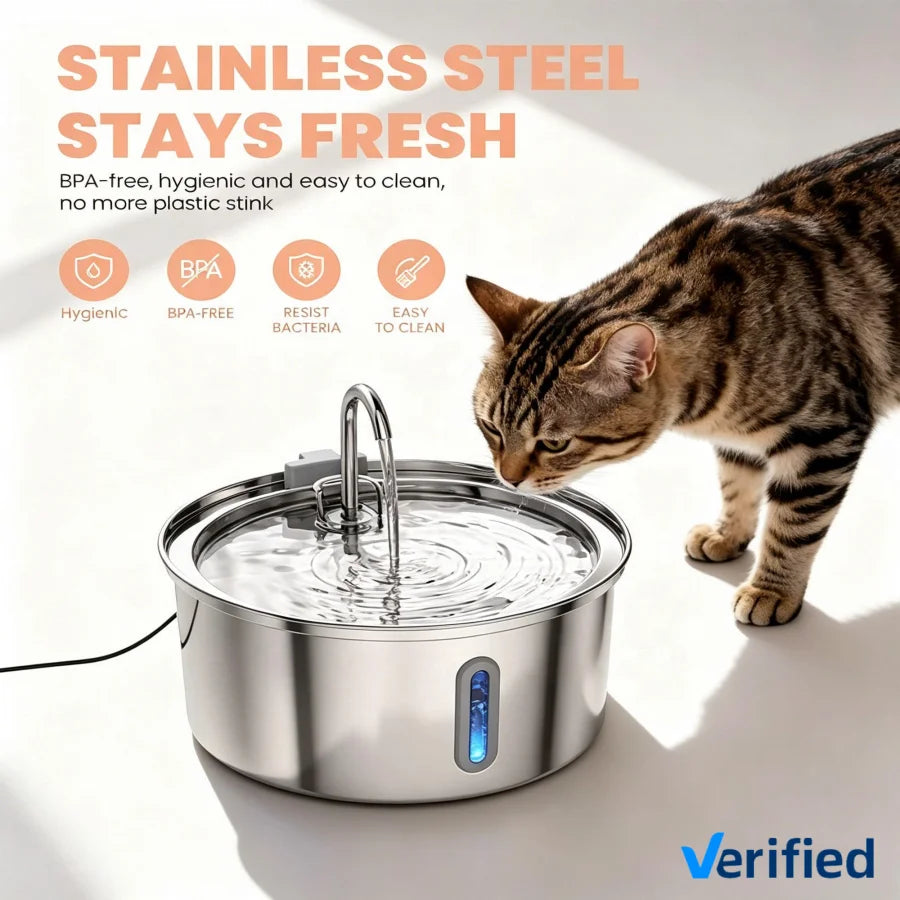 Filtered Water Fountain