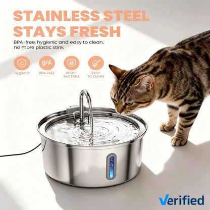 Filtered Water Fountain