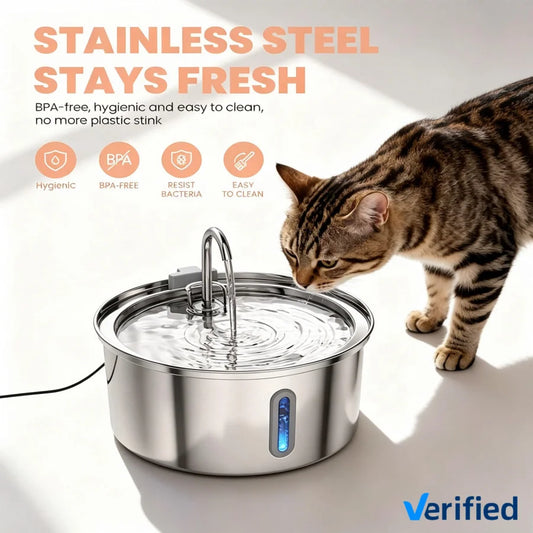 Filtered Water Fountain