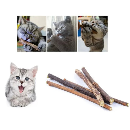 Natural Silvervine Catnip Chew Sticks (20-Pack) – Dental Care & Play