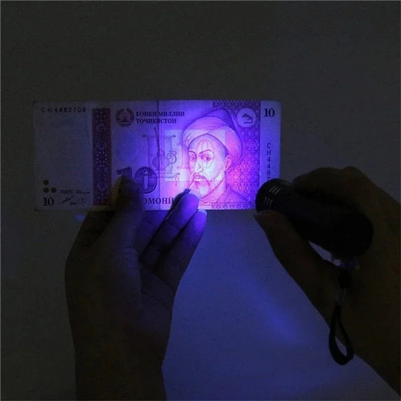 UV Blacklight Flashlight – Pet Urine & Stain Detector