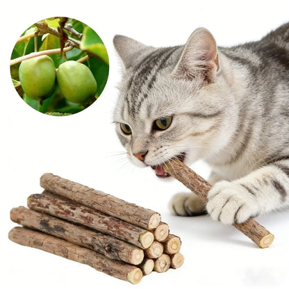 Natural Silvervine Catnip Chew Sticks (20-Pack) – Dental Care & Play