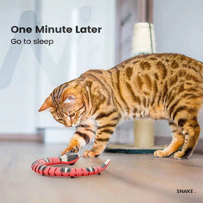 Interactive Snake Cat Toy – USB Rechargeable Motion Teaser