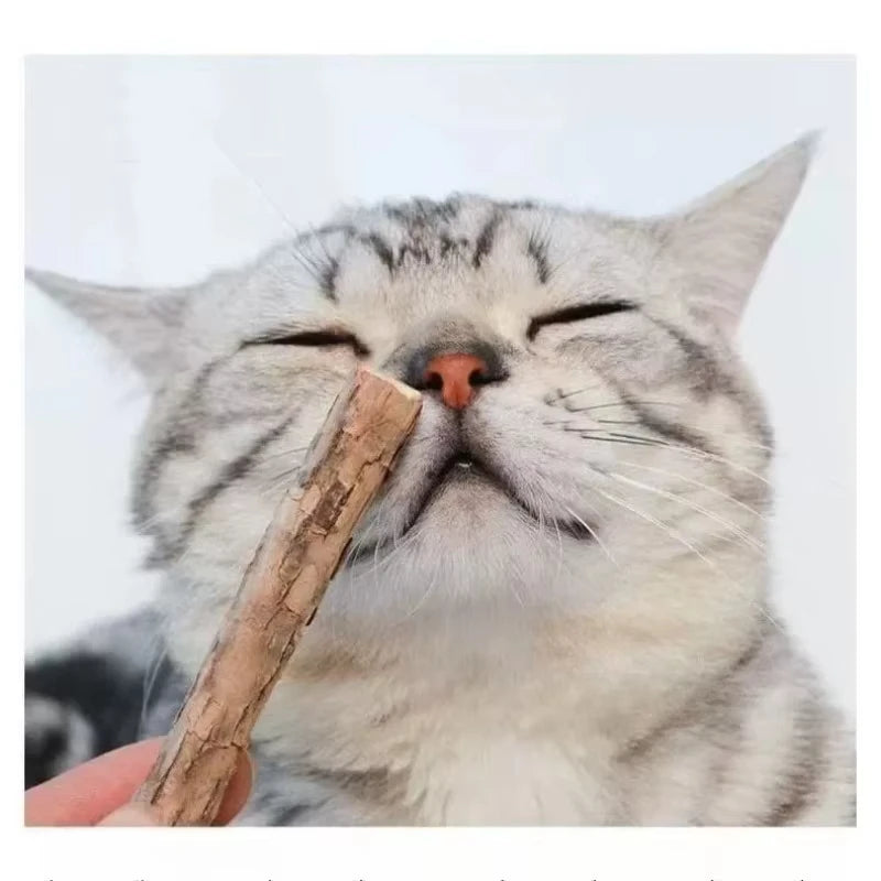 Natural Silvervine Catnip Chew Sticks (20-Pack) – Dental Care & Play