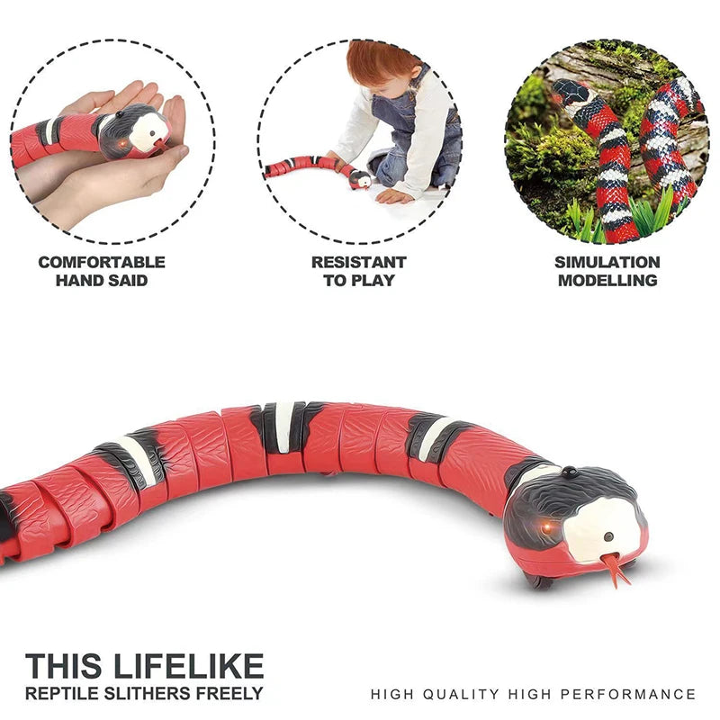 Interactive Snake Cat Toy – USB Rechargeable Motion Teaser