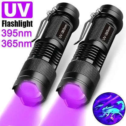 UV Blacklight Flashlight – Pet Urine & Stain Detector