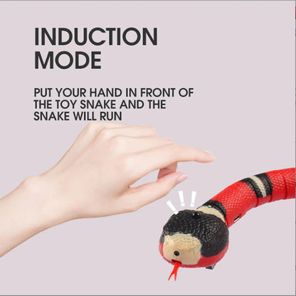 Interactive Snake Cat Toy – USB Rechargeable Motion Teaser
