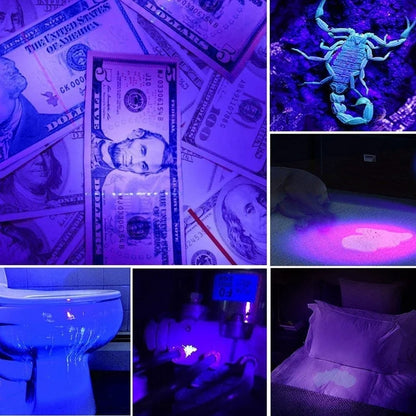 UV Blacklight Flashlight – Pet Urine & Stain Detector